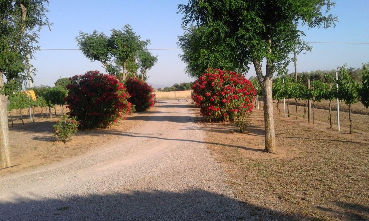 Monolocale Con Giardino Villa Castiglione della Pescaia Bagian luar foto