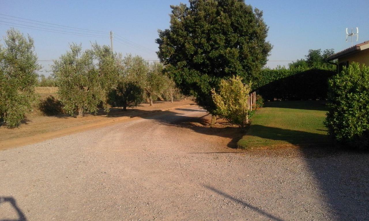 Monolocale Con Giardino Villa Castiglione della Pescaia Bagian luar foto